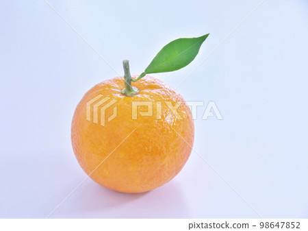 代代白色背景 98647852