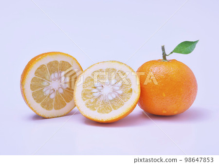 Daidai 切成兩半的白色背景 98647853