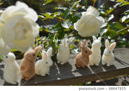 Felt rabbits looking up at the white roses blooming in the garden 98647855
