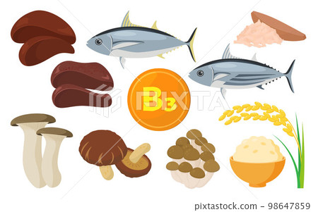 含有維生素 B3 的食物的矢量圖解。 含有維生素 B3 的食物的矢量圖解。 98647859