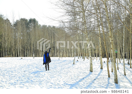 Winter trip, Nami Island 98648141