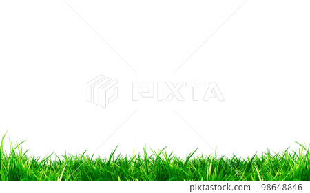 Footer background material (background transparent / png) / lawn / playground / field 98648846