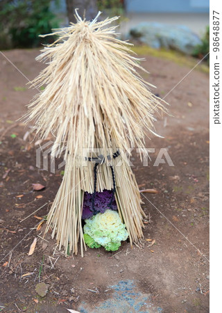Habotan covered with a handmade braided hat 98648877