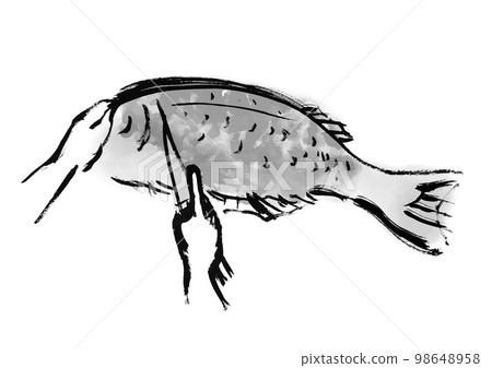海鯛被切割的手繪日式插圖黑白,單色,單色,矢量 海鯛被切割的手繪日式插圖黑白,單色,單色,矢量 98648958