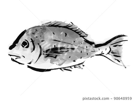 手繪日式插圖海鯛黑白、單色、單色、矢量 手繪日式插圖海鯛黑白、單色、單色、矢量 98648959