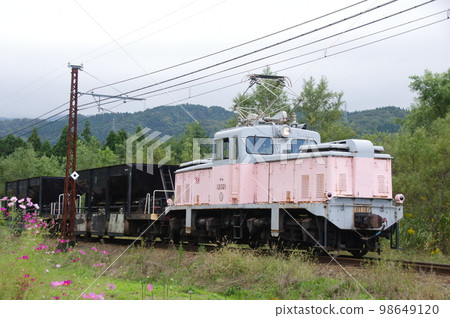 Yokoe Construction train and cosmos附近的富山地方鐵道 98649120