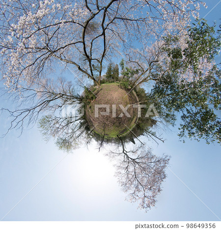 Kurehayama Park 360-degree photo of planet Little Planet with cherry blossoms in full bloom 98649356