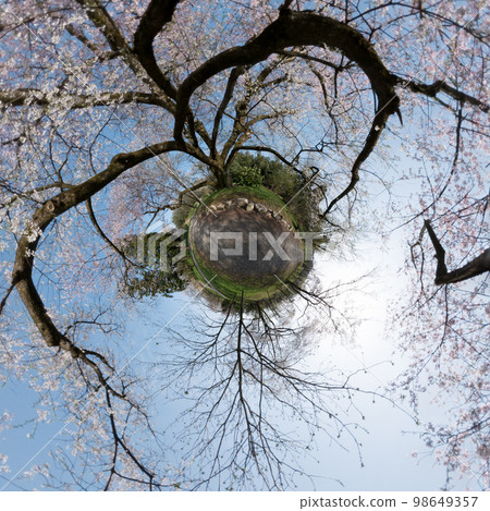 Kurehayama Park 360-degree photo of planet Little Planet with cherry blossoms in full bloom 98649357