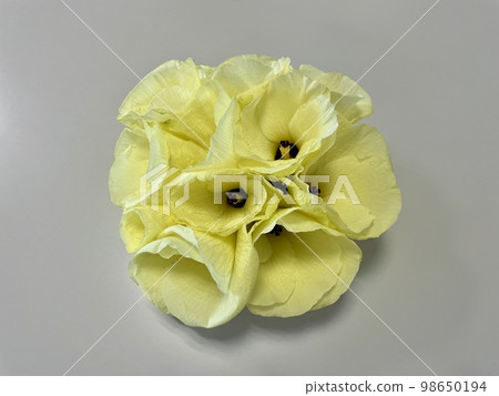 Knit design flower 98650194