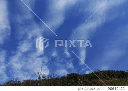 清爽的早春風景,湛藍的天空和波浪般的白雲 220212pm 清爽的早春風景,湛藍的天空和波浪般的白雲 220212pm 98650421