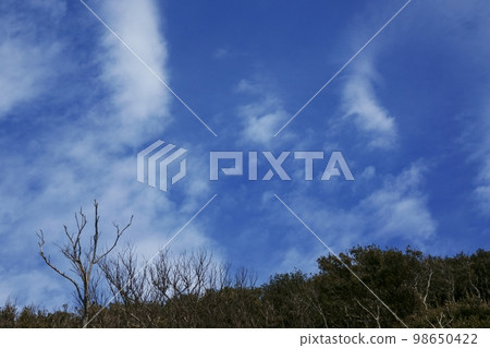 清爽的早春風景，湛藍的天空和波浪般的白雲 220212pm 98650422