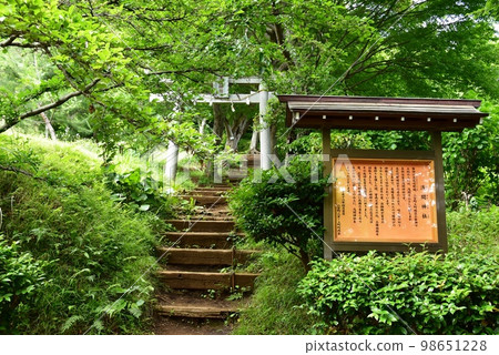 神奈川縣二宮町淺間神社鳥居、淺間神社信息板和吾妻山公園的新鮮綠色植物 98651228
