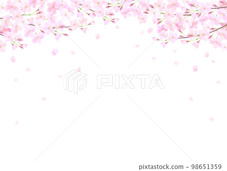 白色背景櫻花水彩觸摸的向量圖背景 98651359