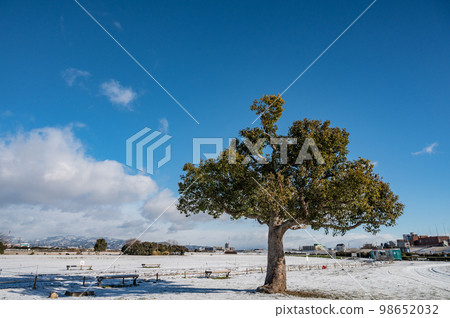 Snowy Neyagawa City Yodogawa River Park Snowy Neyagawa City Yodogawa River Park 98652032