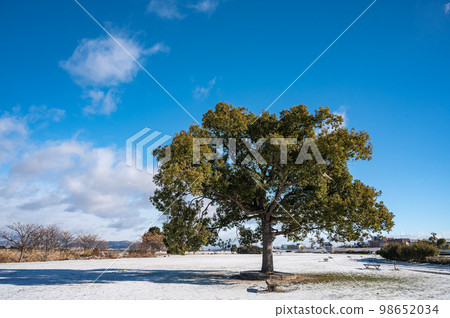 雪之寢屋川市淀川河公園 雪之寢屋川市淀川河公園 98652034