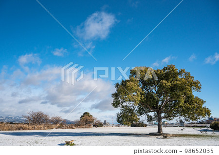 雪之寢屋川市淀川河公園 雪之寢屋川市淀川河公園 98652035