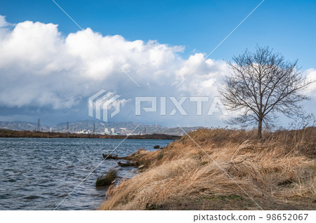Waterside scenery of Yodo River in winter 98652067