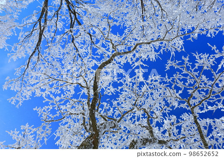 Rime and blue sky Rime and blue sky 98652652
