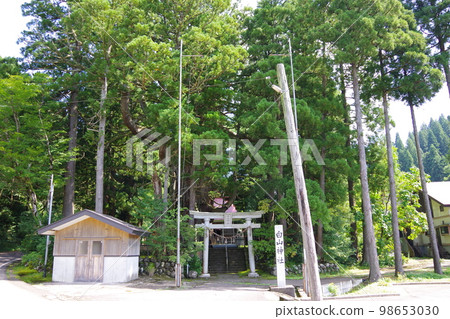 Large Cedar of Mushikawa Large Cedar of Mushikawa 98653030
