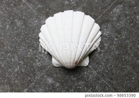 帶殼扇貝、蛤蜊 98653390