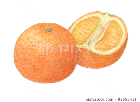 伊予館水彩鉛筆模擬插圖 98653411