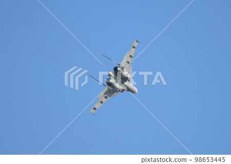 Indian Air Force Sukhoi Su-30MKI Circling 98653445