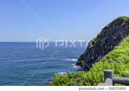 Rishiri Island, Oshidomari mountain, town and port Rishiri Island, Oshidomari mountain, town and port 98653460