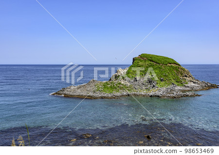 利尻島、押泊山、城鎮和港口 利尻島、押泊山、城鎮和港口 98653469