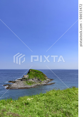 Rishiri Island, Oshidomari mountain, town and port 98653472