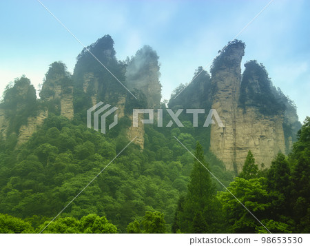 中國湖南張家界武陵源風景區的岩層/中國張家界 98653530