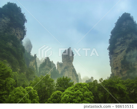 Rock formations in Wulingyuan scenic area, Zhangjiajie, Hunan, China / Zhangjiajie, China Rock formations in Wulingyuan scenic area, Zhangjiajie, Hunan, China / Zhangjiajie, China 98653531