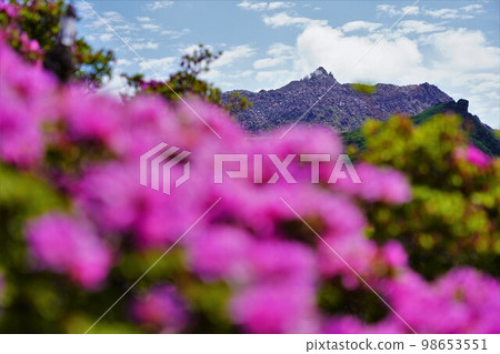 美山霧島和平成新山 98653551