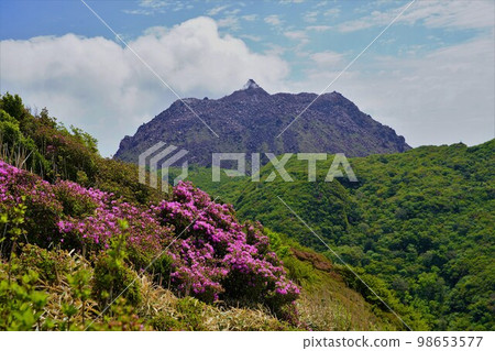 Heisei Shinzan from Mt. Kunimi 98653577