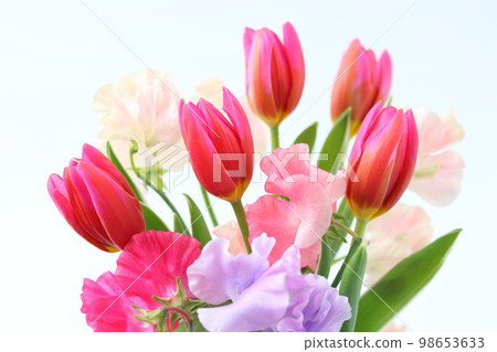 Bouquet of tulips and sweet peas 98653633