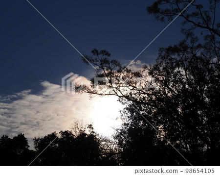 Fantastic sky 98654105