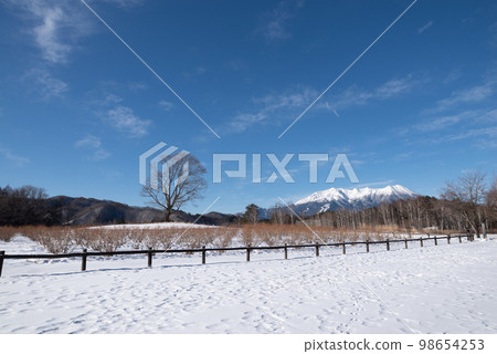 冬天的開田高原和白雪皚皚的御嶽山 98654253