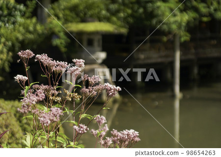 Hyorike Pond in Autumn 98654263