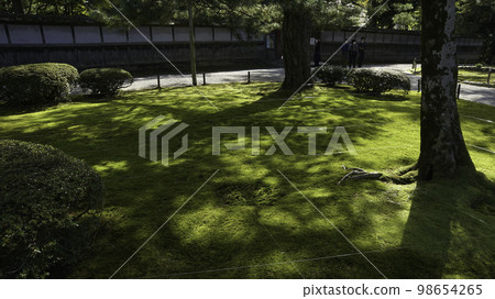 The shade of the garden The shade of the garden 98654265