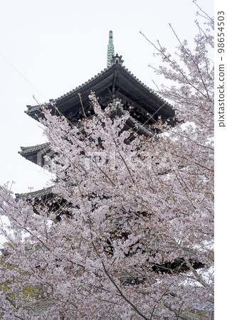 Happo Hakoshoji in spring 98654503