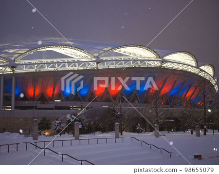 新潟市大天鵝燈飾 98655079