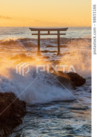 在早晨的陽光下閃耀的上磯鳥居 98655166