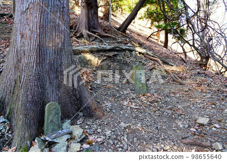 群馬縣西上州石佛 四又山步道 群馬縣西上州石佛 四又山步道 98655640