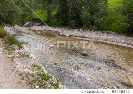 Mountain stream 98656232