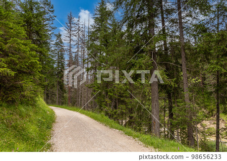 Mountain trekking itinerary Mountain trekking itinerary 98656233