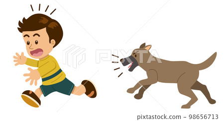 Angry dog chasing a boy illustration Angry dog chasing a boy illustration 98656713