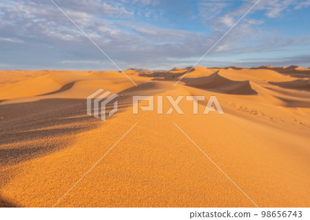 The vast orange dunes of the Sahara desert and its barren vegetation The vast orange dunes of the Sahara desert and its barren vegetation 98656743