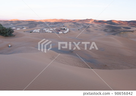 The vast orange dunes of the Sahara desert and its barren vegetation 98656842