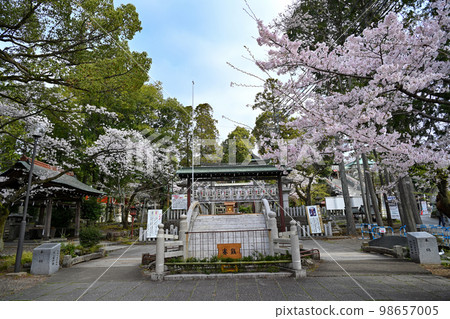 國寶犬山城 國寶犬山城 98657005