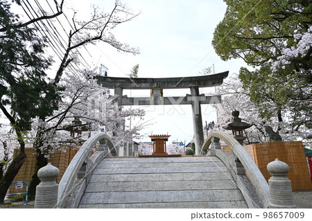 國寶犬山城 98657009