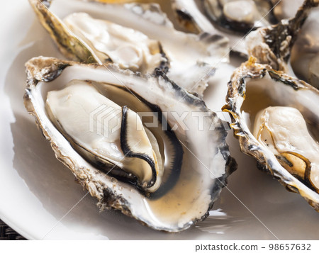 steamed oysters in shell 98657632